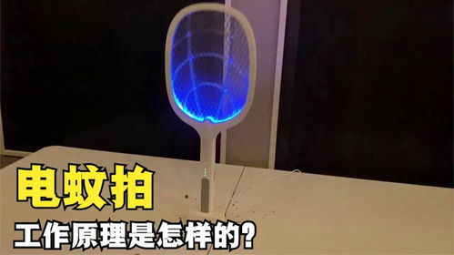 令人驚嘆的電蚊拍 揭秘其獵蚊原理與安全性