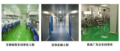 建設(shè)食品廠無(wú)塵車(chē)間的關(guān)鍵注意事項(xiàng)與電蚊拍管理策略